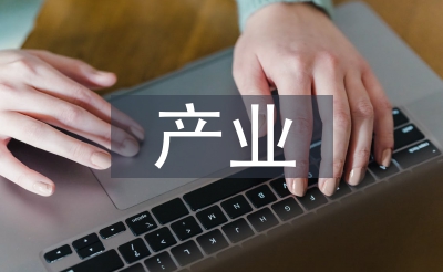 產業項目匯報材料