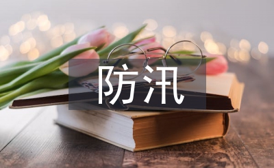 抗臺防汛工作總結